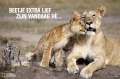 zooooo lief!