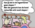 de hond