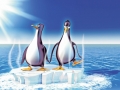 grappige pinguins!