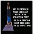 de moed verloren?