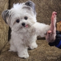 High five!