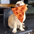 mmmmmm piza