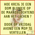 moppen en blondjes