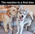 De eerste kus...