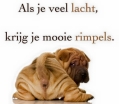 rimpels
