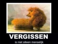 vergissen is....
