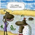 Hipposuctie?