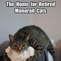 Monorailcat...