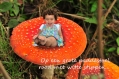 Op en grote paddestoel...