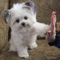 High five!