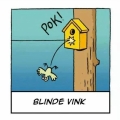 blinde vink