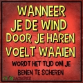 als je de wind....