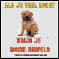 mooie rimpels...