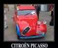 citron Picasso