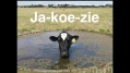 jakoezie