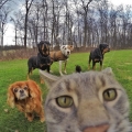 een selfie met mijn vrienden...