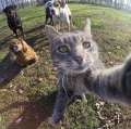 een selfie met de boys...