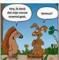 waarom denk je dat???
