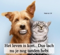 smile voor de foto!