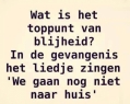optimist tot in de kist...