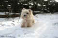 Joepie! wandeling in de sneeuw...