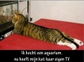 een eigen TV?