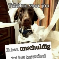 onschuldig....