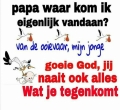 de ooievaar