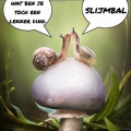 slijmbal!