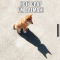 verdorie, ik ben Batman
