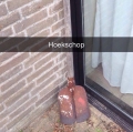 woordspeling