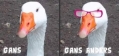Gans anders