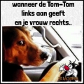 Tom Tom versus vrouw....