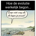 de evolutie