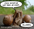 en maar slijmen...