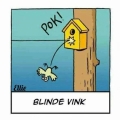Blinde vink