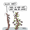 de lente