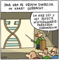 het DNA van de vrouw in kaart..