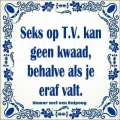 Seks op TV