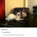 zoonlief, moeder en ik willen met je praten