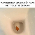 de vegetarir