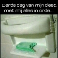 derde dag van het dieet......