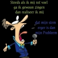een stem, welke stem????