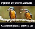 een vrouwtje zeker?
