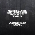 goede voornemens...
