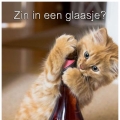 Bij zo'n warm weer moet je drinken
