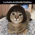 de kat van Mireille