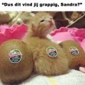 Niet grappig hoor!