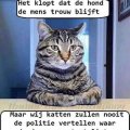 wij katten...