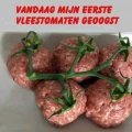 vleestomaten?